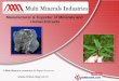 Mineral Ore & Herbal Extract Products by Multi Minerals Industries, Jodhpur