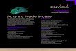 Athymic Nude Mouse