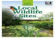 A short guide to Local Wildlife Sites