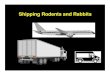 Shipping Rodents and Rabbits