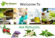Avi Naturals - Essential Oils Supplier & Manufacturer in India