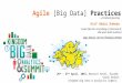 Agile Big Data Practices