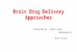 Brain drug delivery