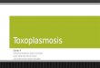Toxoplasmosis: Toxoplasma gondii