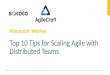 Webinar: Top 10 Tips for Scaling Distributed Agile