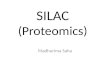 Silac 4.4.16 ms