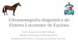 Ultrassonografia diagnóstica do sistema locomotor de equinos