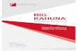 Big Kahuna Leadership Survey 2016 - White Paper
