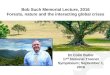 Treenet butler Bob Such Memorial Lecture, 2016: Forests, nature and the interacting global crises