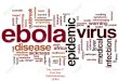 Ocular manifestation of ebola