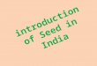 Seed industry in india