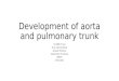 Development of aorta and pulmonary trunk