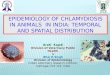 Epidemiology of chlamydiosis in animals  in India- Temporal and spatial distribution
