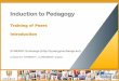 SYNERGY Induction to Pedagogy Programme - Training of Peers (ENGLISH)