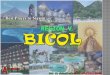 Philippine literature Bicol Region(region v)