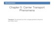 Chapter5 carrier transport phenomena