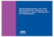 Determinants of the Nutritional Status of Mothers and Children in 