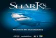Tiburones 3D, Guía didáctica
