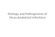 Etiology and pathogenesis