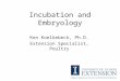 Incubation and Embryology