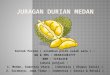 Daging durian asli medan | 083844401777 | Juragan Durian