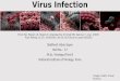 Interferon γ inhibits Ebola Virus Infection COMPAT