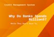 Why Do Banks Spends Millions for Credit Management System?