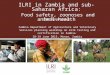 ILRI in Zambia and sub-Saharan Africa: Food safety, zoonoses and animal health