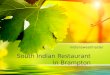 South indian restaurant brampton