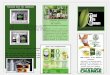 Total Life Changes Brochure with Product Information and Knowledge