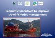 Economic Incentives in Fisheries
