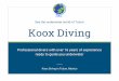 Koox Diving Tulum