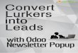 Convert Lurkers into Leads