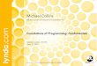 Foundations of programming   fundamentals