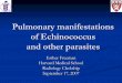 Pulmonary manifestations of Echinococcus and other parasites