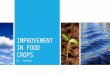 Improvement in food crops