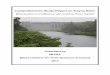 Comprehensive Study Report on Koyna River MITRA