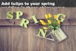Add tulips to your spring wedding in these chirpy ways