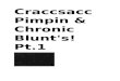Craccsacc pimpin & chronic blunt's pt.1 html_files.doc