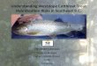 Understanding Westslope Cuthroat Trout Hybridiza9on Risks in 