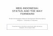Indonesia MDG overview