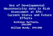 Use of Developmental Neurotoxicity data in Risk Assessment in EPA 