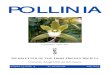 Pollinia - July 2015
