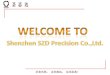Shenzhen SZD Precision Mold Co.,Ltd. 2016