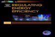 Regulating Energy Efficiency 0216