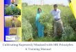 Cultivating Rapeseed/Mustard with SRI Principles: A Training Manual