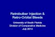 Mouse Retrobulbar Injection and Retro-Orbital Bleeds