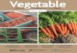 Vegetable Production Handbook for Florida