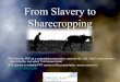 From Slavery to Sharecropping