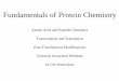 Fundamentals of Protein Chemistry